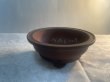 画像1: No.MA6327  美芸4.5号カブト鉢 (1)