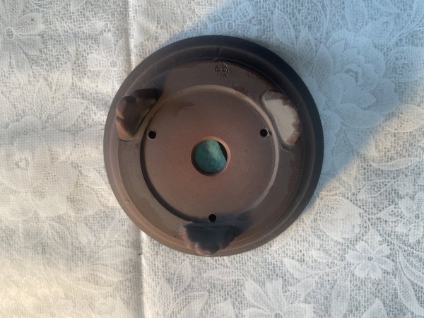 画像3: No.MA6327  美芸4.5号カブト鉢 (3)