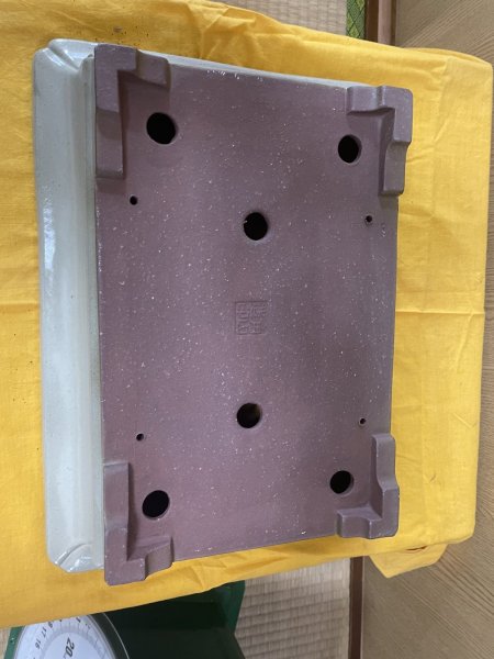 画像3: No.SA6401 角山　13号長角エン付隅切高高台　白 (3)