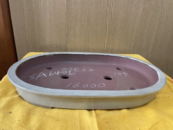 画像1: No.SA6406 角山　12号小判浅エン付　白 (1)