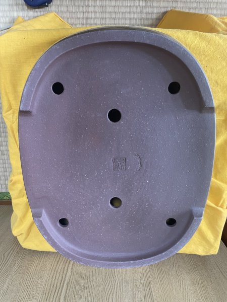 画像3: No.SA6407 角山　15号小判切立　白 (3)