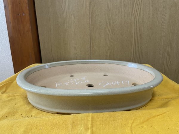 画像1: No.SA6417 黎鳳　10号小判中浅反形下帯　白 (1)