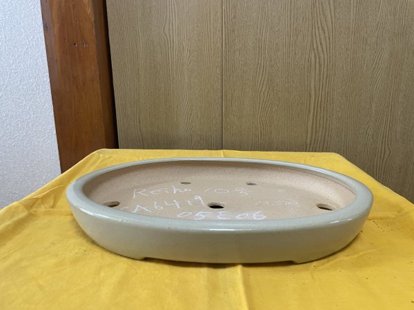 画像1: No.SA6419 黎鳳　10号小判中浅逸公形　白 (1)