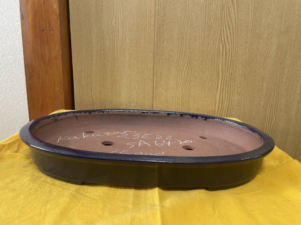 画像1: No.SA6420 角山　12号小判浅エン付　ルリ (1)