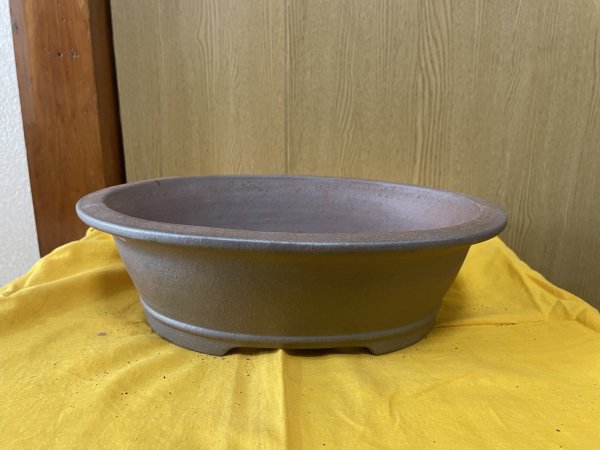 画像1: No.SA6426 黎鳳　10号小判大深　紫泥 (1)