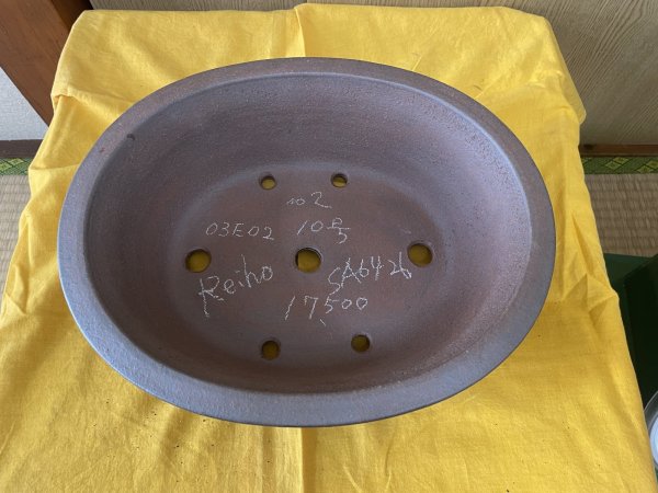 画像2: No.SA6426 黎鳳　10号小判大深　紫泥 (2)