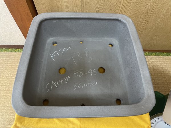 画像2: No.SA6434 喜仙　13号正角隅入上帯　ネズ (2)