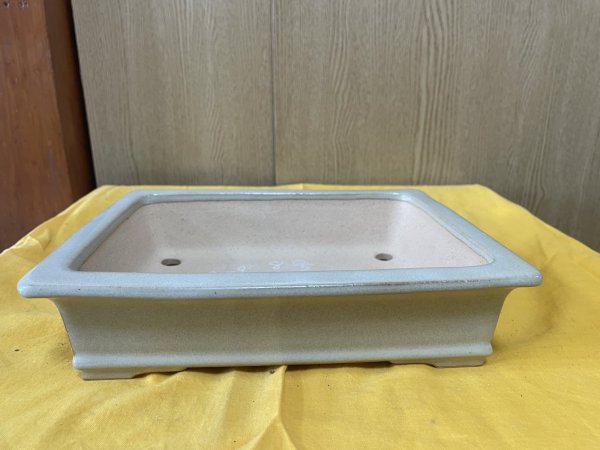 画像1: No.SA6436 黎鳳　手造り　8号長方中浅エン付き下帯段足　白  (1)