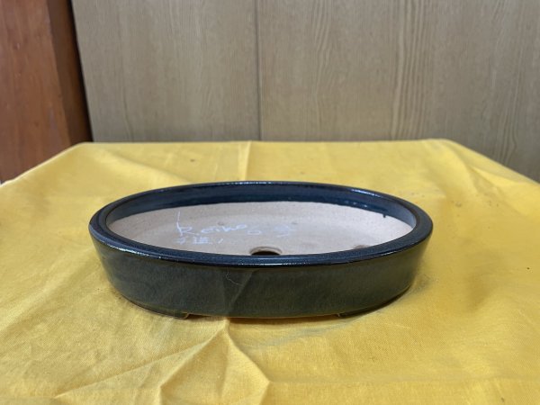 画像1: No.SA6440 黎鳳　手造り　6号小判切立　ナマコ (1)