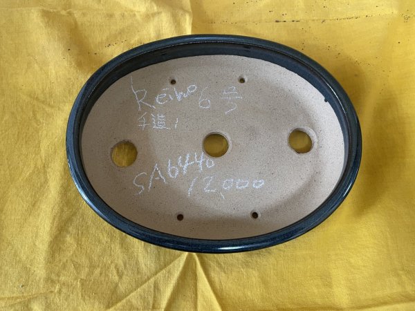 画像2: No.SA6440 黎鳳　手造り　6号小判切立　ナマコ (2)