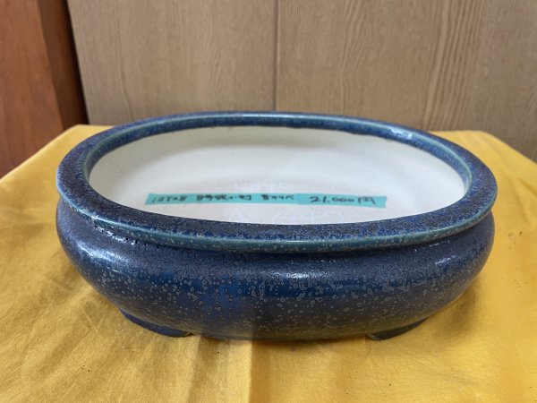 画像1: No.SA6442 鴻陽　8号袋小判　青オリベ (1)