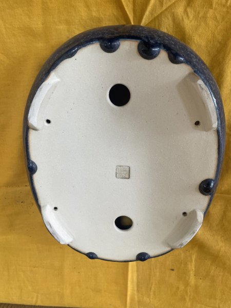 画像3: No.SA6442 鴻陽　8号袋小判　青オリベ (3)