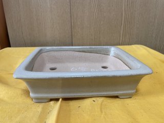 新着商品ページ ｜ 盆栽ネットワーク・ジャパン