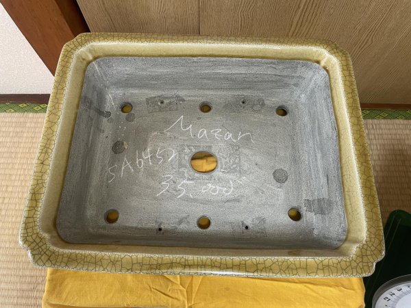 画像2: No.SA6452 真山　15号 (2)