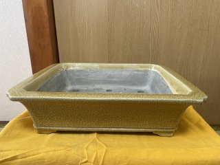 常滑鉢 ｜ 鉢専門の盆栽ネットワーク・ジャパン