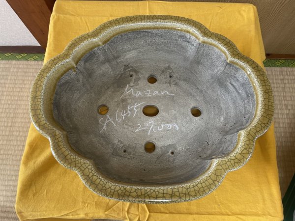 画像2: SA6455  真山　木瓜　13号 (2)