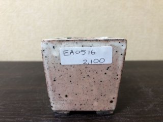 455 盆栽　盆栽鉢　植木鉢　和鉢　片岡 455 盆栽 盆栽鉢 植木鉢 和鉢 片岡 （和の鉢・盆栽鉢 | 植木鉢