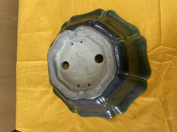 画像3: SA6459  真山　古鏡　12号 (3)