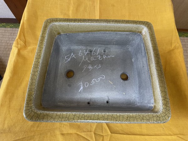 画像2: SA6461  真山　長方　9号 (2)