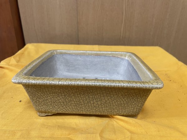 画像1: SA6466  真山　長方　6号 (1)