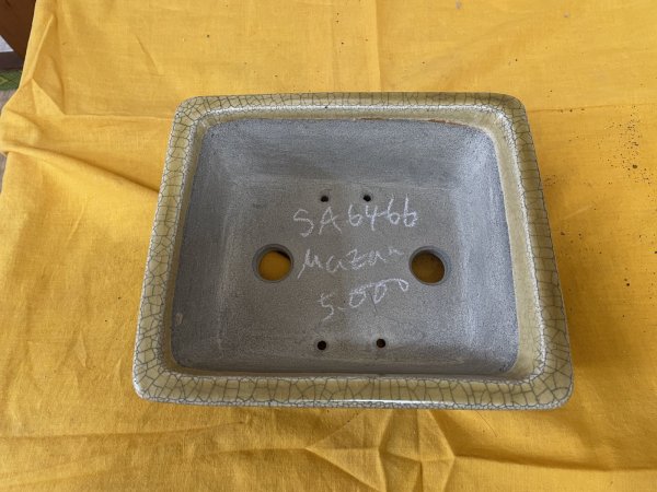 画像2: SA6466  真山　長方　6号 (2)