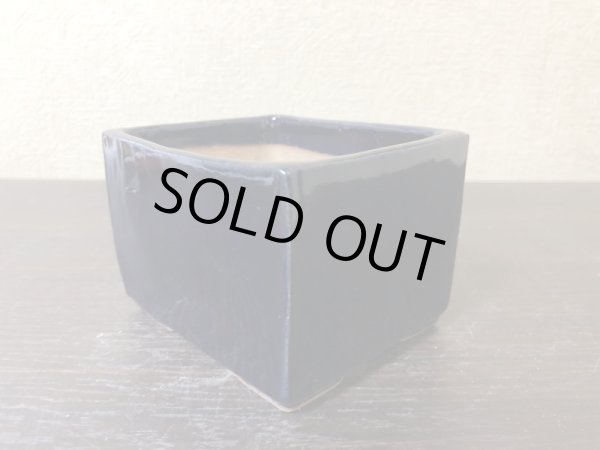 画像2: No.EA0520  片岡 (2)