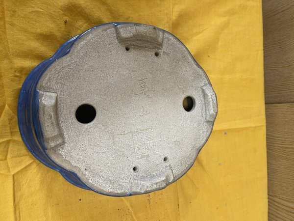 画像3: SA6468  真山　新型木瓜　8号 (3)