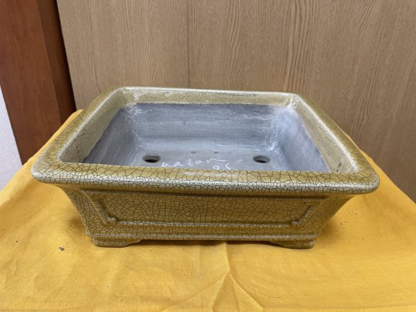 画像1: SA6469  真山　9.5号額入 (1)