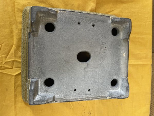 画像3: SA6469  真山　9.5号額入 (3)