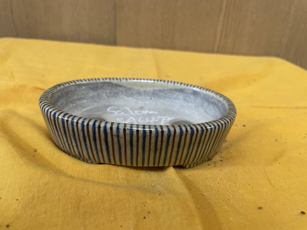 画像1: SA6472(b)  里美　小判5号以下（十草） (1)