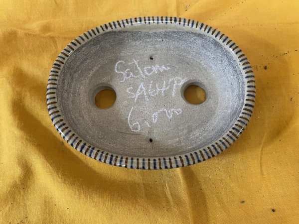 画像2: SA6472(b)  里美　小判5号以下（十草） (2)