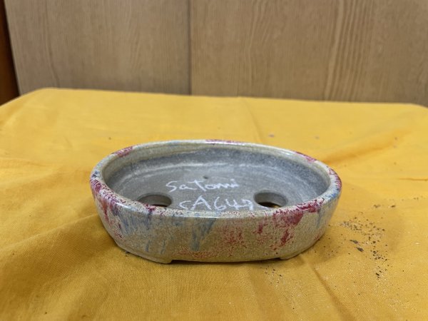 画像1: SA6473  里美　小判5号以下（赤ぼかし） (1)