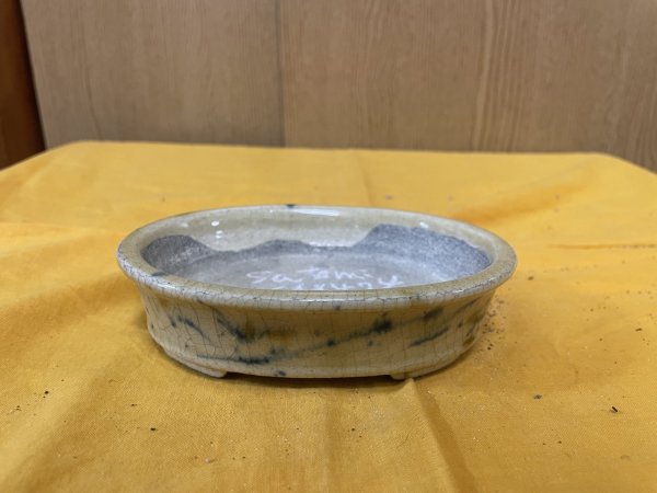 画像1: SA6474  里美　小判5号以下（三色） (1)