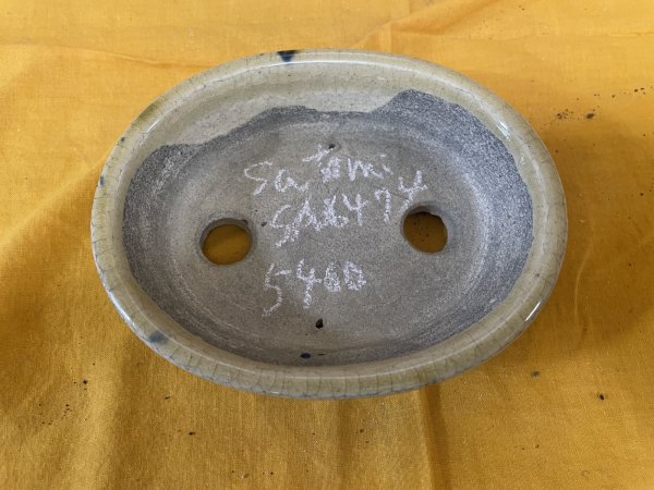 画像2: SA6474  里美　小判5号以下（三色） (2)