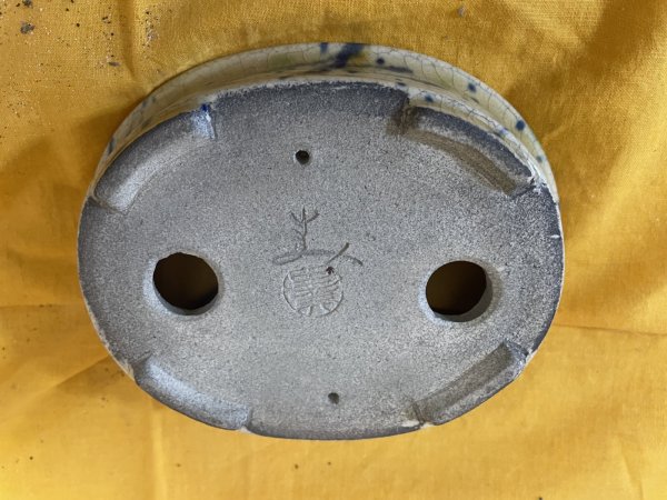 画像3: SA6474  里美　小判5号以下（三色） (3)