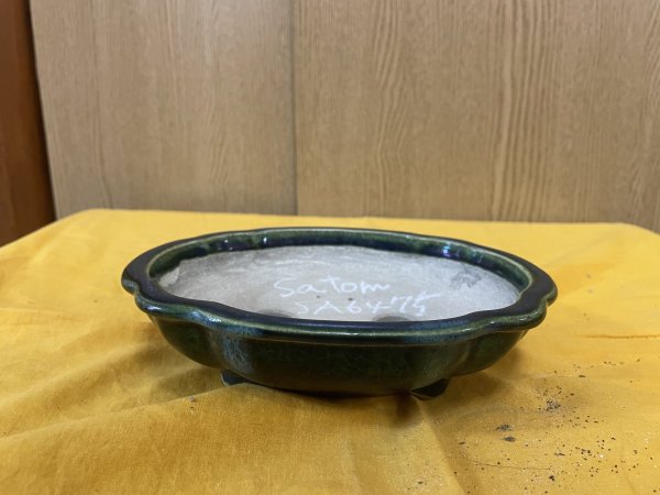 画像1: SA6475  里美　木瓜（小） (1)