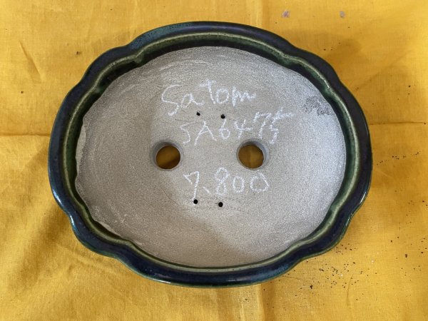 画像2: SA6475  里美　木瓜（小） (2)