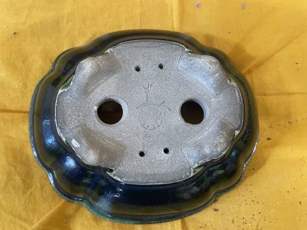 画像3: SA6475  里美　木瓜（小） (3)