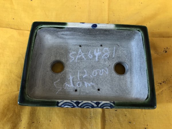 画像1: SA6481  里美　横長クモ足絵入り (1)