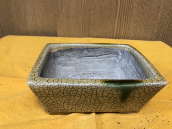 画像1: SA6482  里美　5.5号以下 (1)