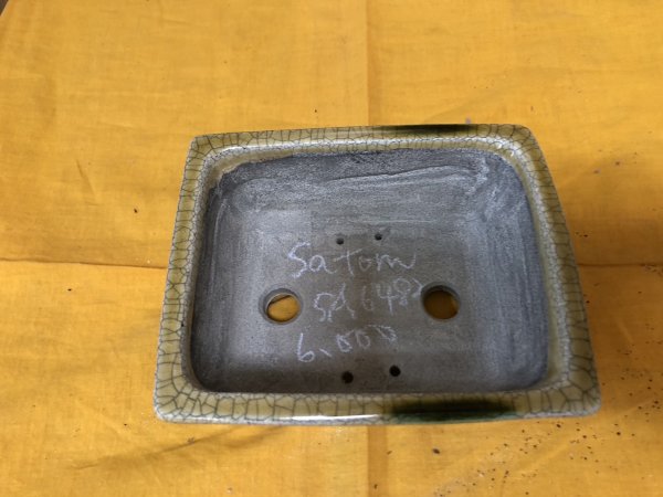 画像2: SA6482  里美　5.5号以下 (2)