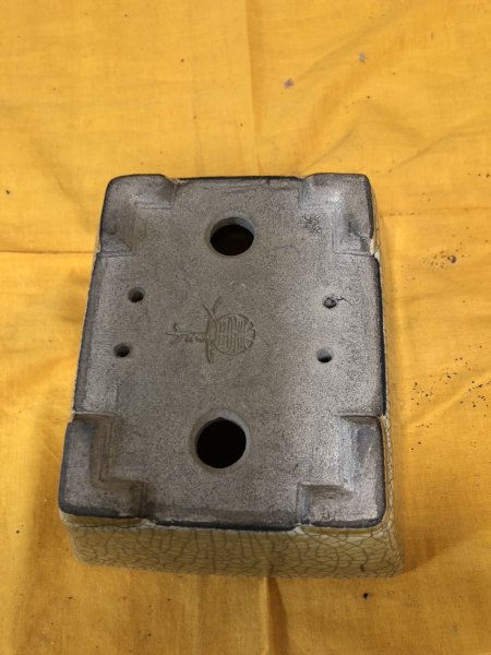 画像3: SA6482  里美　5.5号以下 (3)