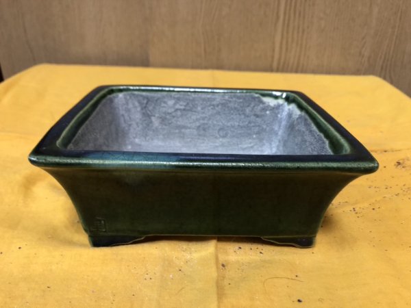 画像1: SA6483  里美　5.5号以下 (1)