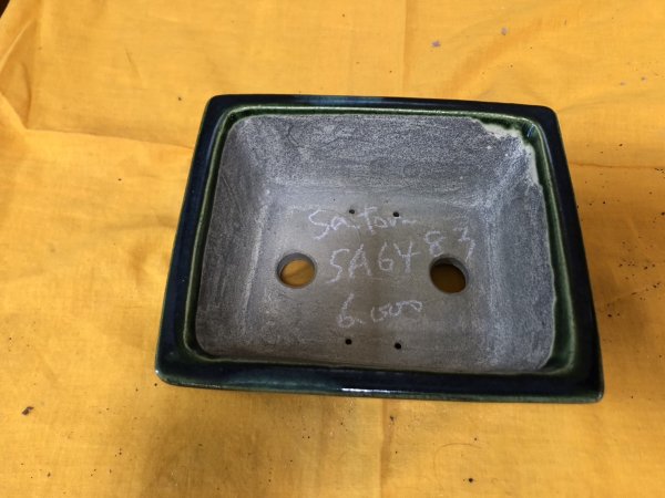 画像2: SA6483  里美　5.5号以下 (2)