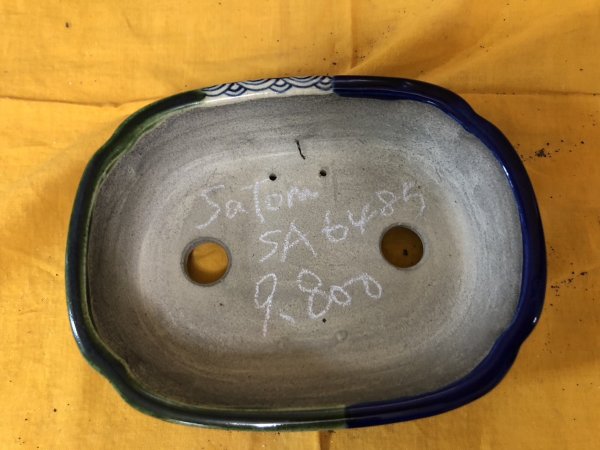 画像2: SA6485  里美　浅木瓜2色塗分け絵入り (2)