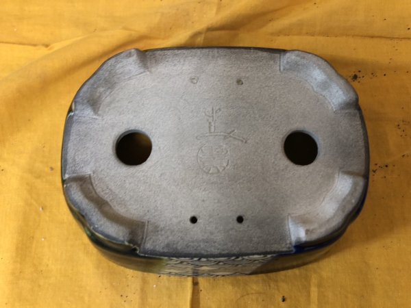 画像3: SA6485  里美　浅木瓜2色塗分け絵入り (3)