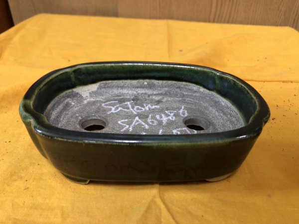 画像1: SA6486  里美　浅木瓜単色 (1)