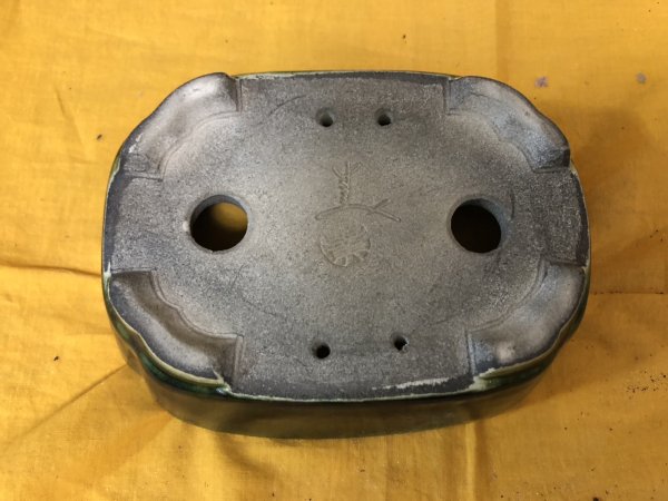 画像3: SA6486  里美　浅木瓜単色 (3)