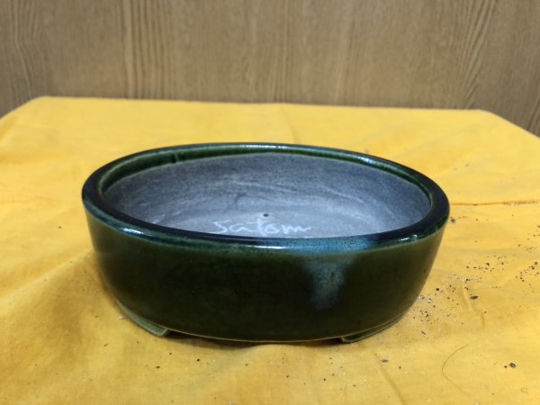 画像1: SA6487  里美　小判5号単色 (1)