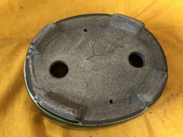 画像3: SA6487  里美　小判5号単色 (3)